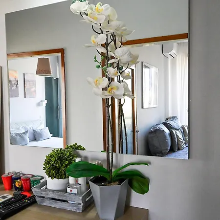 B&B Apartaments Novoli Guidoni 10 Min To Center Airport Tram T2 Airport Ac Wifi No Ztl